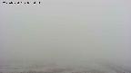 area2-20250520083035.jpg