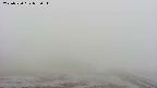 area2-20250520085035.jpg
