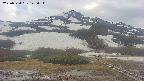 area2-20250520143035.jpg