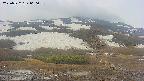 area2-20250522060037.jpg