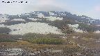 area2-20250522062036.jpg