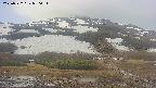 area2-20250522070035.jpg