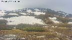 area2-20250522071034.jpg