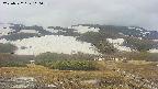 area2-20250522110036.jpg