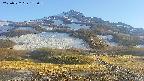 area2-20250522173034.jpg
