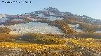 area2-20250522180032.jpg