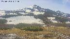 area2-20250523110035.jpg