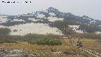 area2-20250524150032.jpg