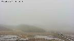 area2-20250526072032.jpg