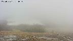 area2-20250526174031.jpg
