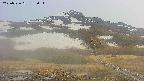area2-20250526182032.jpg