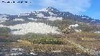 area2-20250528060033.jpg