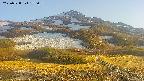 area2-20250528175035.jpg