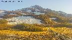 area2-20250528180035.jpg