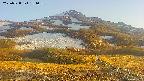 area2-20250528181034.jpg