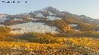 area2-20250528182035.jpg
