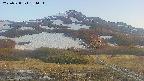 area2-20250528184035.jpg