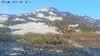 area2-20250529052033.jpg
