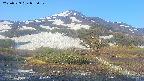 area2-20250529055033.jpg