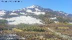 area2-20250529064033.jpg