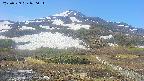 area2-20250529070035.jpg
