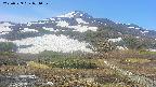 area2-20250529071033.jpg