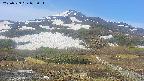 area2-20250529072035.jpg