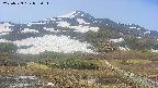area2-20250529075032.jpg