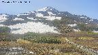 area2-20250529080035.jpg