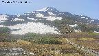 area2-20250529081031.jpg