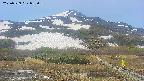 area2-20250529083034.jpg