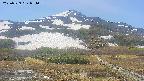 area2-20250529084034.jpg