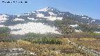 area2-20250529091034.jpg
