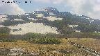 area2-20250529131035.jpg