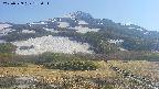 area2-20250529153032.jpg