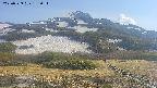 area2-20250529155035.jpg