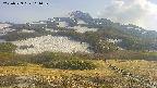 area2-20250529161033.jpg