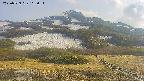 area2-20250529162032.jpg