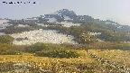 area2-20250529165034.jpg
