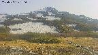 area2-20250529170037.jpg