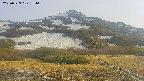 area2-20250529171034.jpg
