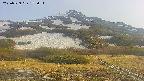 area2-20250529172035.jpg