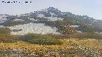 area2-20250529174035.jpg