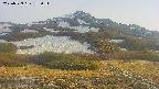 area2-20250529175032.jpg