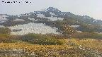 area2-20250529180034.jpg