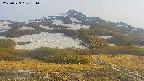 area2-20250529181034.jpg