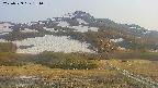 area2-20250529184037.jpg