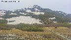 area2-20250530052034.jpg