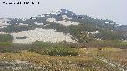 area2-20250530061035.jpg