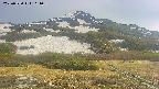 area2-20250530161035.jpg